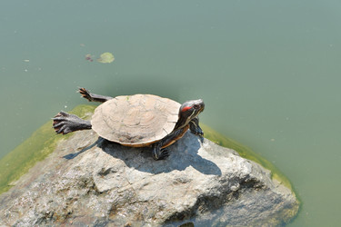 Similar image 22152975