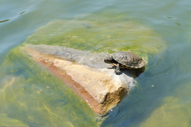 Similar image 22152977