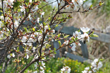 Similar image 22152978