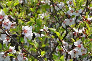 Similar image 22152979