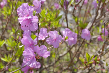 Similar image 22152980