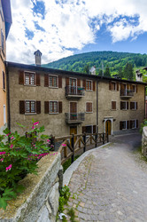 Similar image 22156694