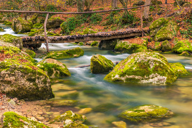 Similar image 22158488