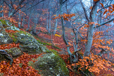 Similar image 22159327