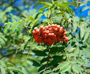 Similar image 22151995