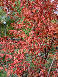 Similar image 22152000