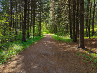 Similar image 22150190