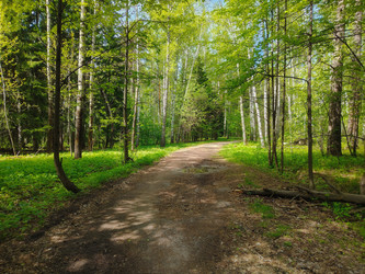 Similar image 22150191