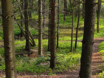 Similar image 22150192