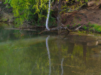 Similar image 22150193