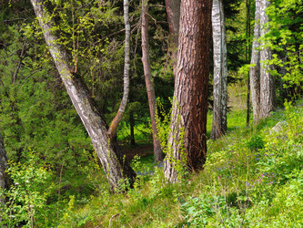 Similar image 22150194