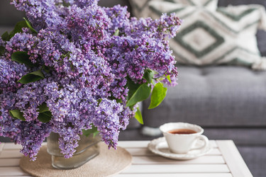 Similar image 22151307