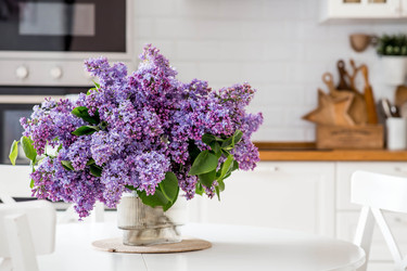 Similar image 22151308