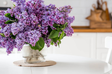 Similar image 22151323