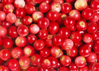 Similar image 22150210