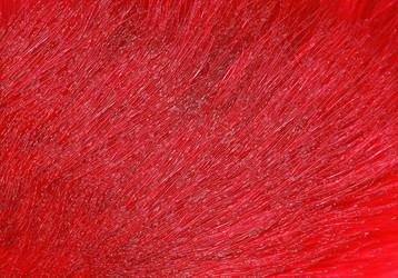 Similar image 22150213