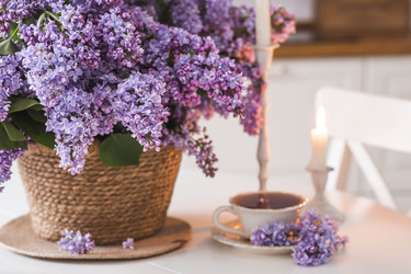 Similar image 22151334