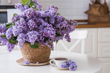 Similar image 22151337