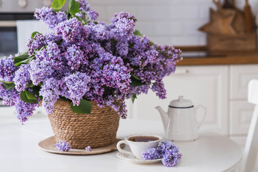 Similar image 22151338