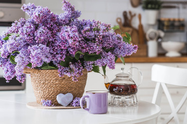 Similar image 22151347