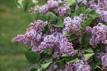 Similar image 22151348