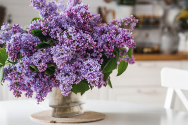 Similar image 22151351