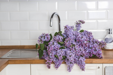 Similar image 22151358