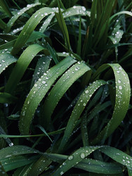 Similar image 22153601