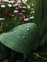 Similar image 22153602