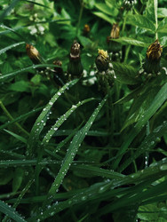 Similar image 22153605