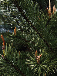 Similar image 22153607