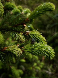 Similar image 22153608