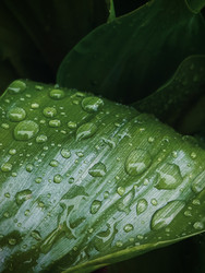 Similar image 22153610