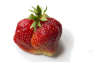 Similar image 22153771