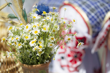 Similar image 22153830