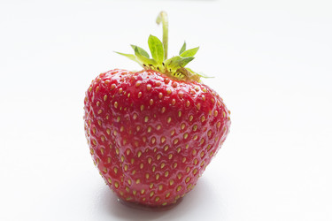 Similar image 22153835