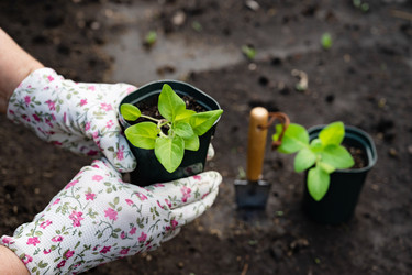 Similar image 22153621