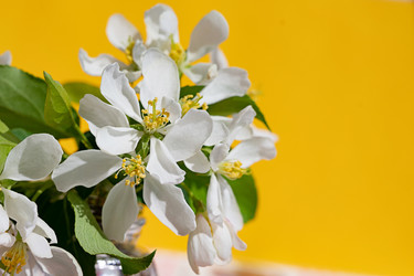 Similar image 22153624