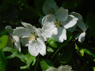 Similar image 22161313