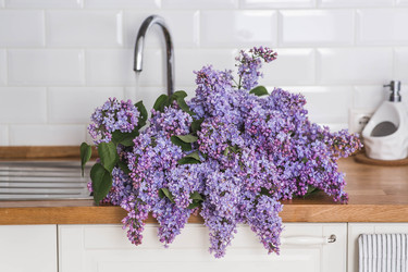 Similar image 22151360