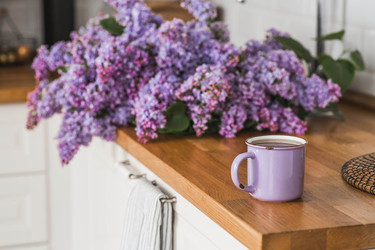 Similar image 22151588