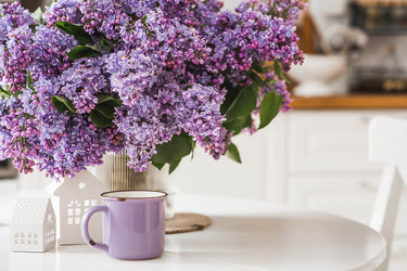 Similar image 22151593