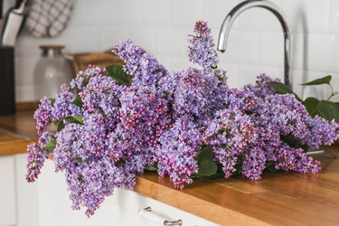 Similar image 22151594