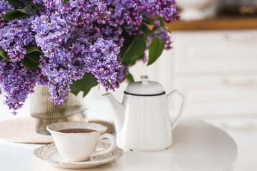 Similar image 22151597