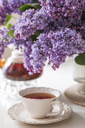 Similar image 22151603