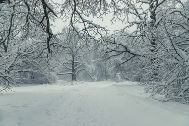 Similar image 22155884