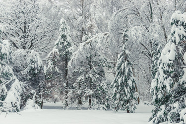 Similar image 22155885