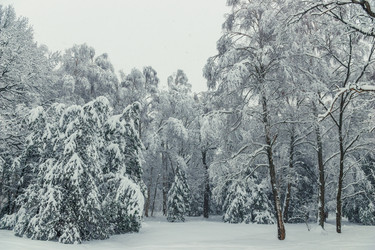 Similar image 22155889