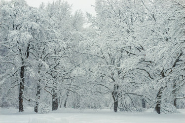 Similar image 22155893