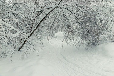 Similar image 22155904